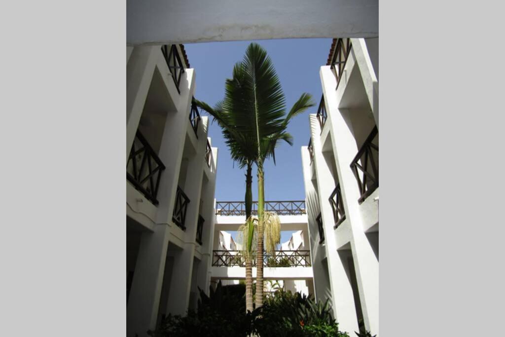 2 Bedrooms Playa Las Américas Parque Santiago I Heated Pool Playa de las Américas Exterior foto